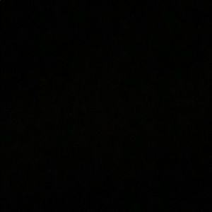 Meet your Posher, Sav